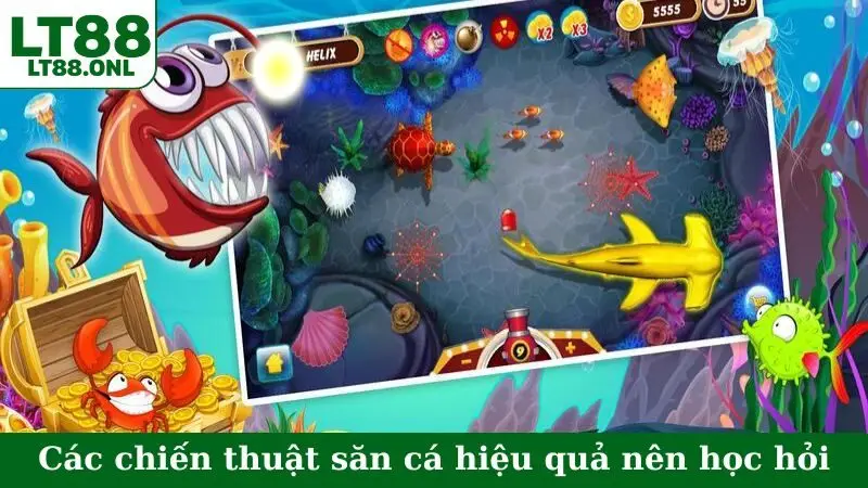 Các chiến thuật săn cá hiệu quả nên học hỏi