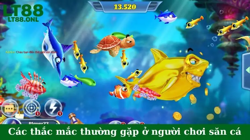 FAQ - Các thắc mắc thường gặp ở người chơi săn cá