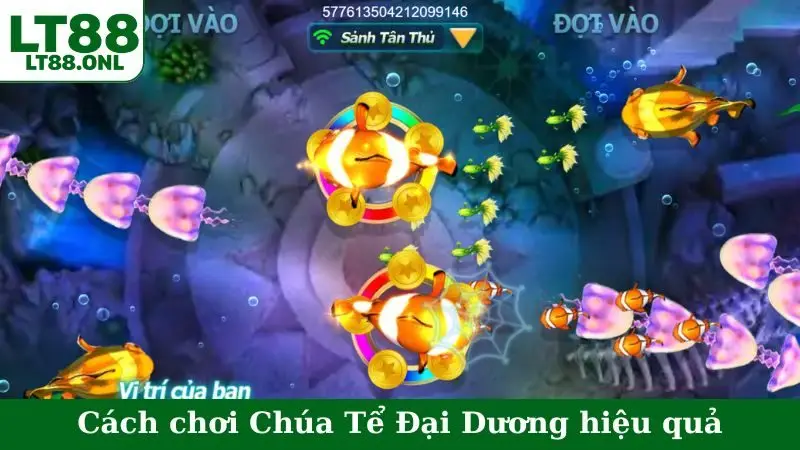 Cách chơi Chúa Tể Đại Dương hiệu quả cho newbie