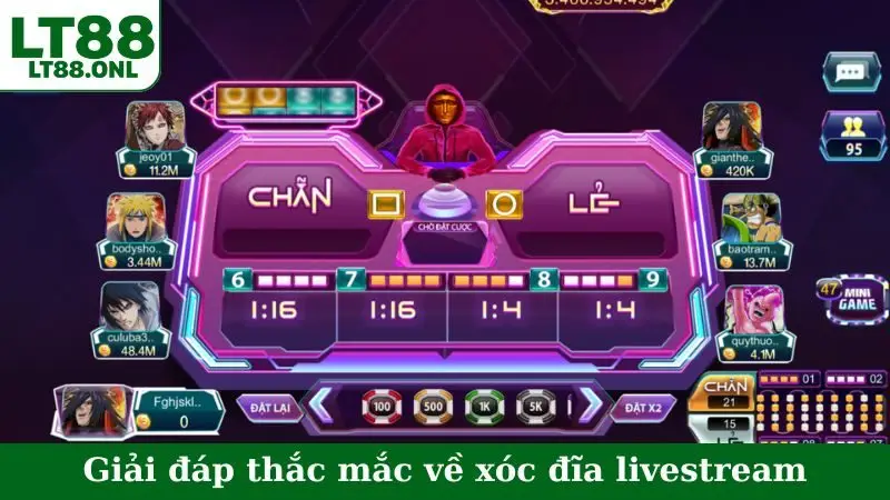 Giải đáp thắc mắc về xóc đĩa livestream
