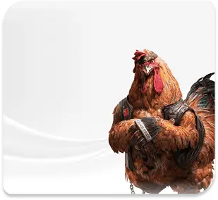 imgi_82_cockfight banner c973ad4