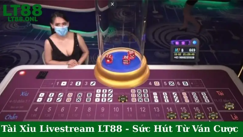 Tài Xỉu Livestream LT88 - Sức Hút Từ Ván Cược
