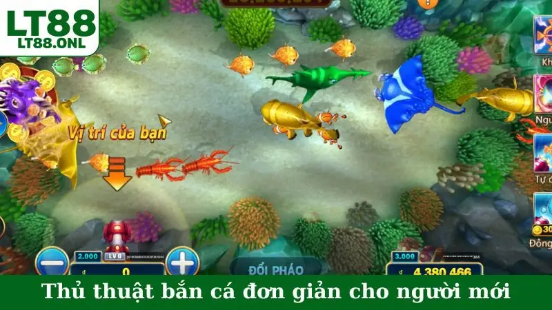 Thủ thuật bắn cá đơn giản xanh chín cho người mới