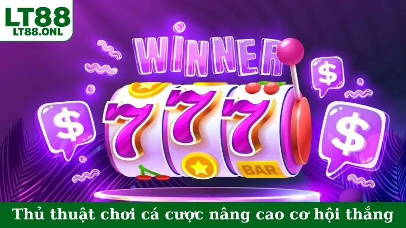 Thủ thuật chơi cá cược nâng cao cơ hội thắng