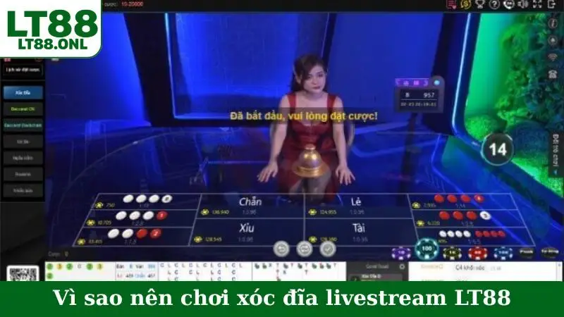 Vì sao nên chơi xóc đĩa livestream LT88
